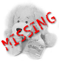 This dog is missing.