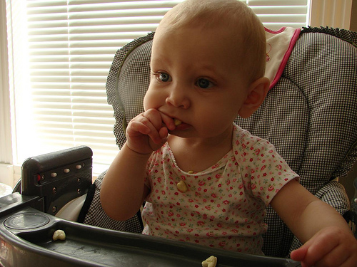 Monkey chow time!