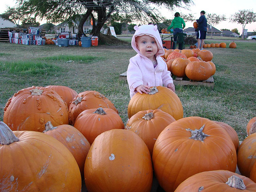 At the pumpkin patch