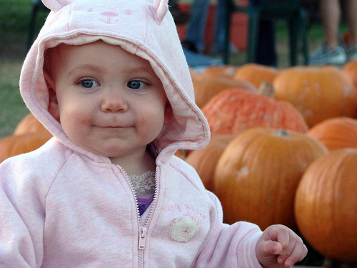 At the pumpkin patch