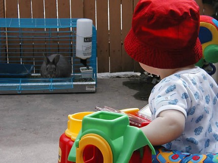 Human child... do not want.