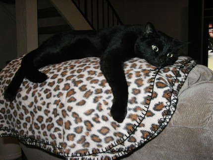 On a chair