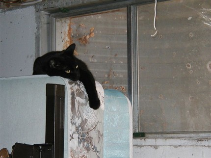 In the basement