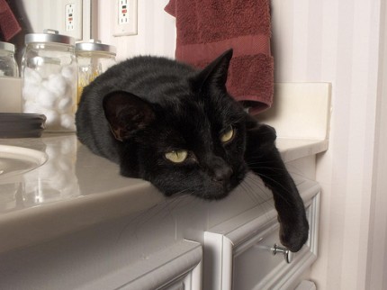 On the bathroom counter