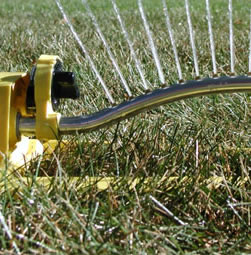 Stupid lawn