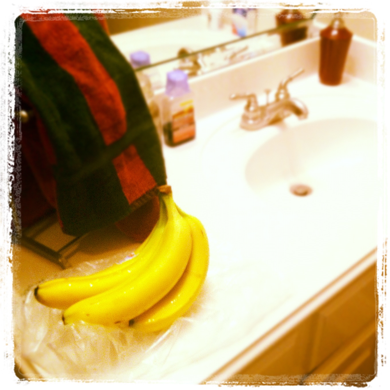 Food in the bathroom! | The Modernish Father