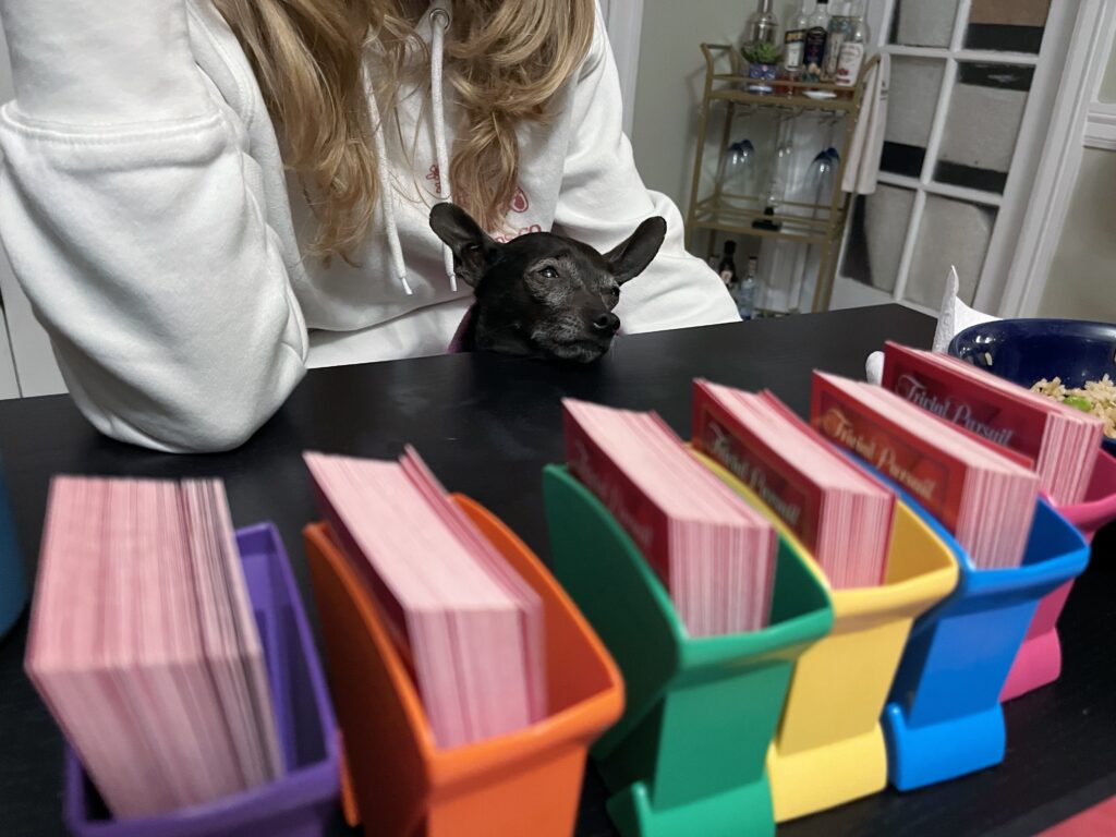 Dog playing Trivial Pursuit