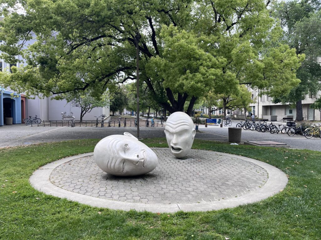 Eggheads on the UC Davis campus