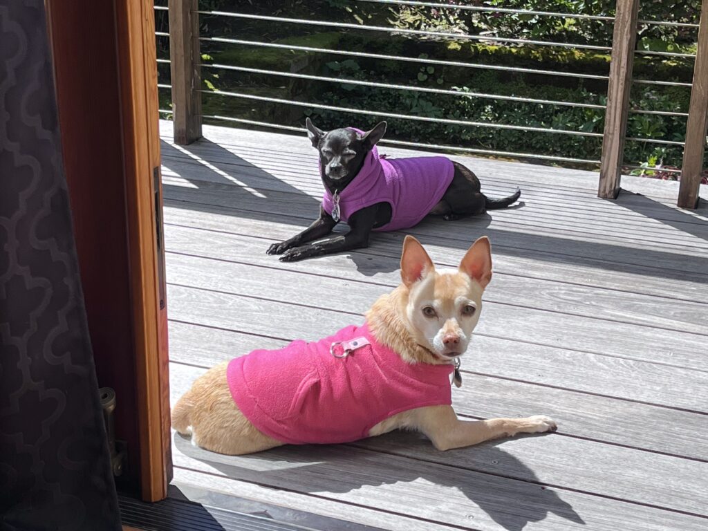 Sisters...enjoying some sun!