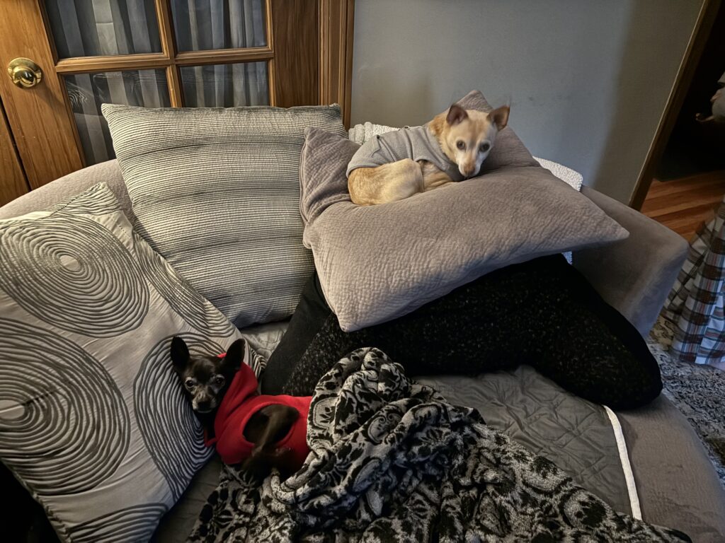 Sisters..chilling in the living room!