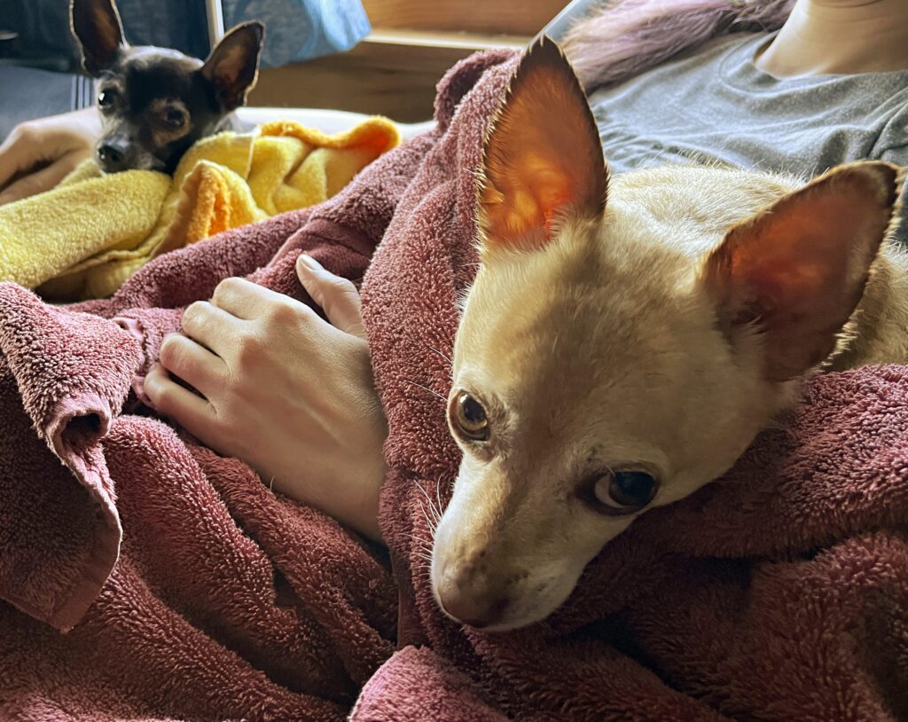 Sisters...after a bath!