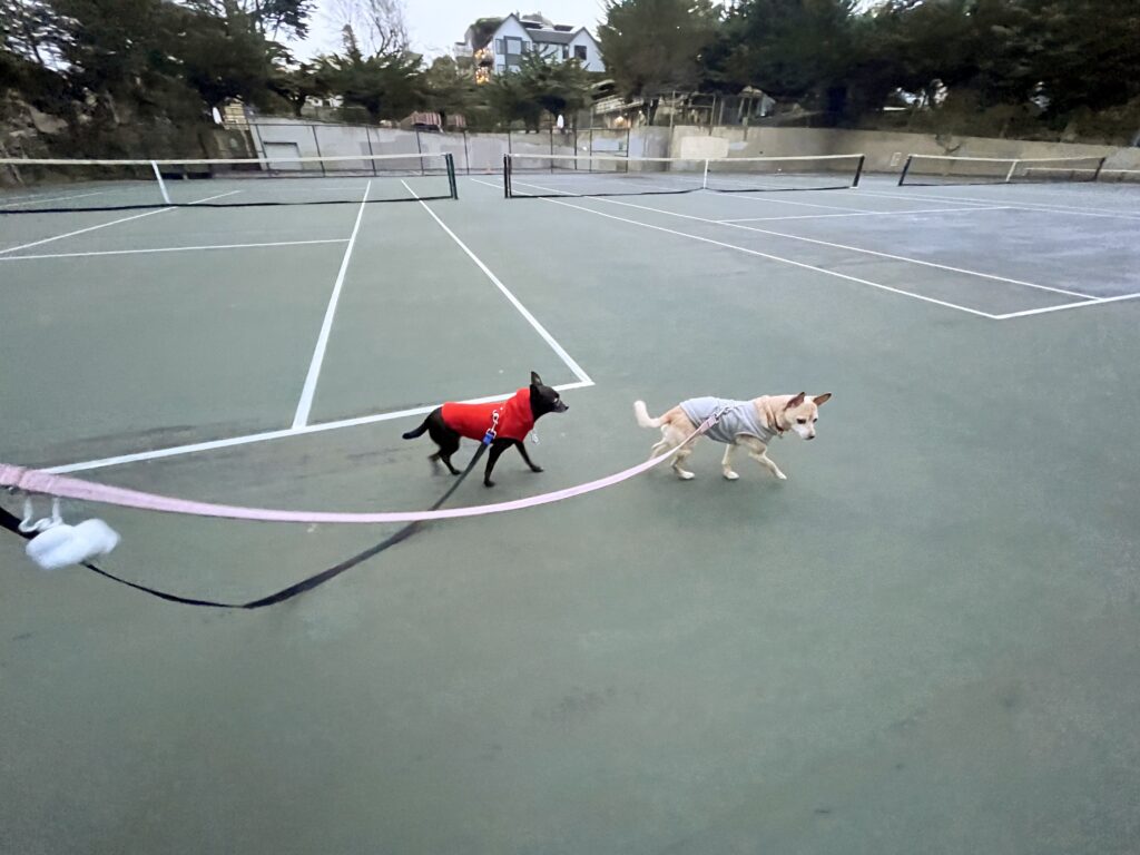 Sisters...walking on a tennis court!