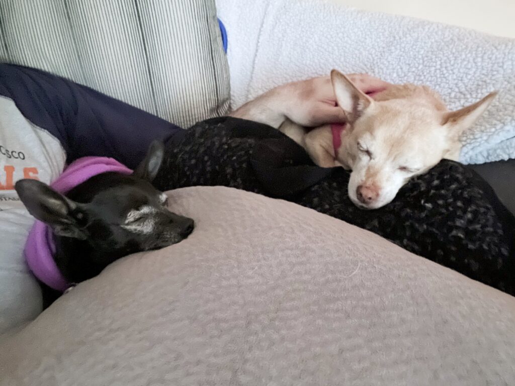 Sisters...taking a nap!