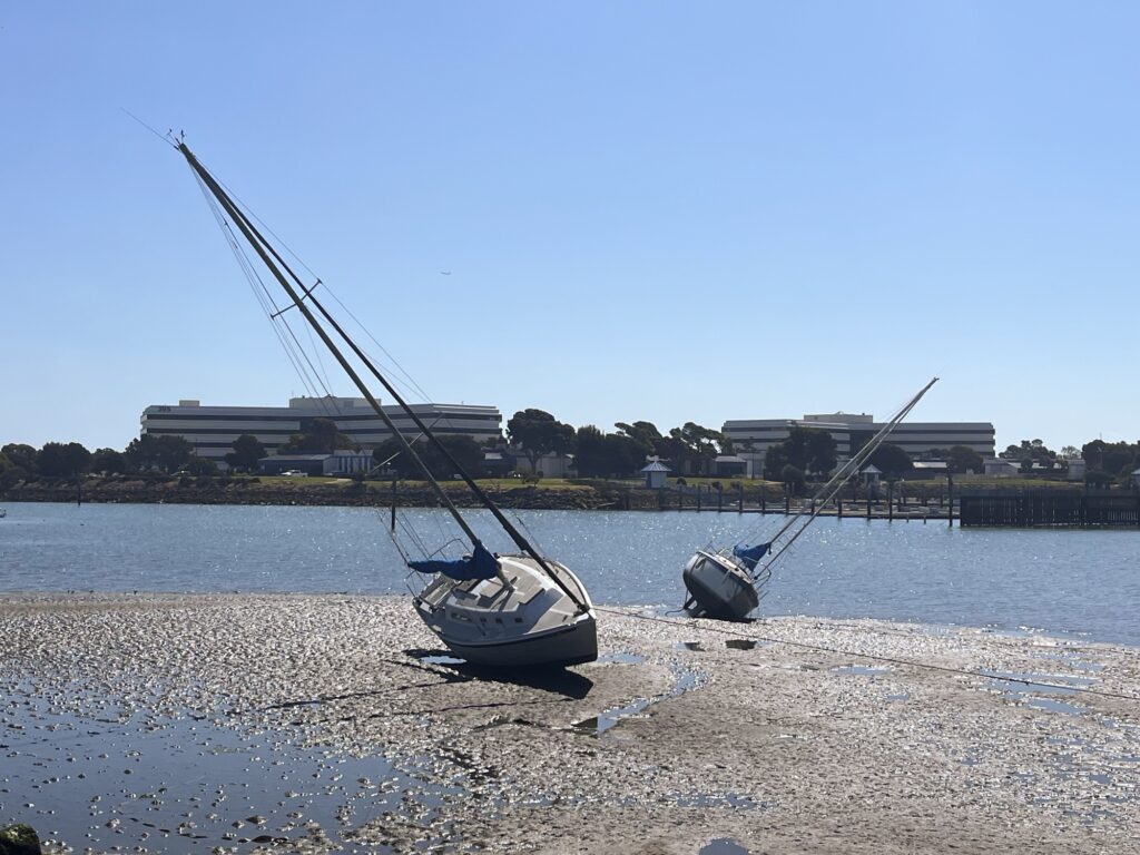 Two sailboats beached at low tide