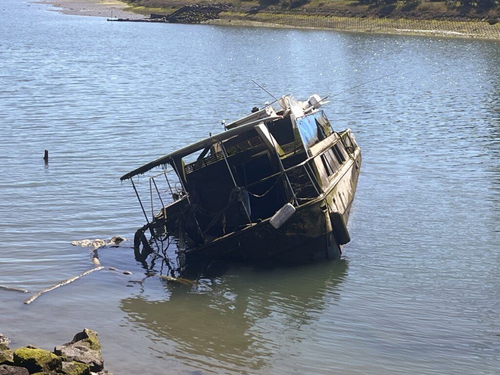 Moldy boat sinking